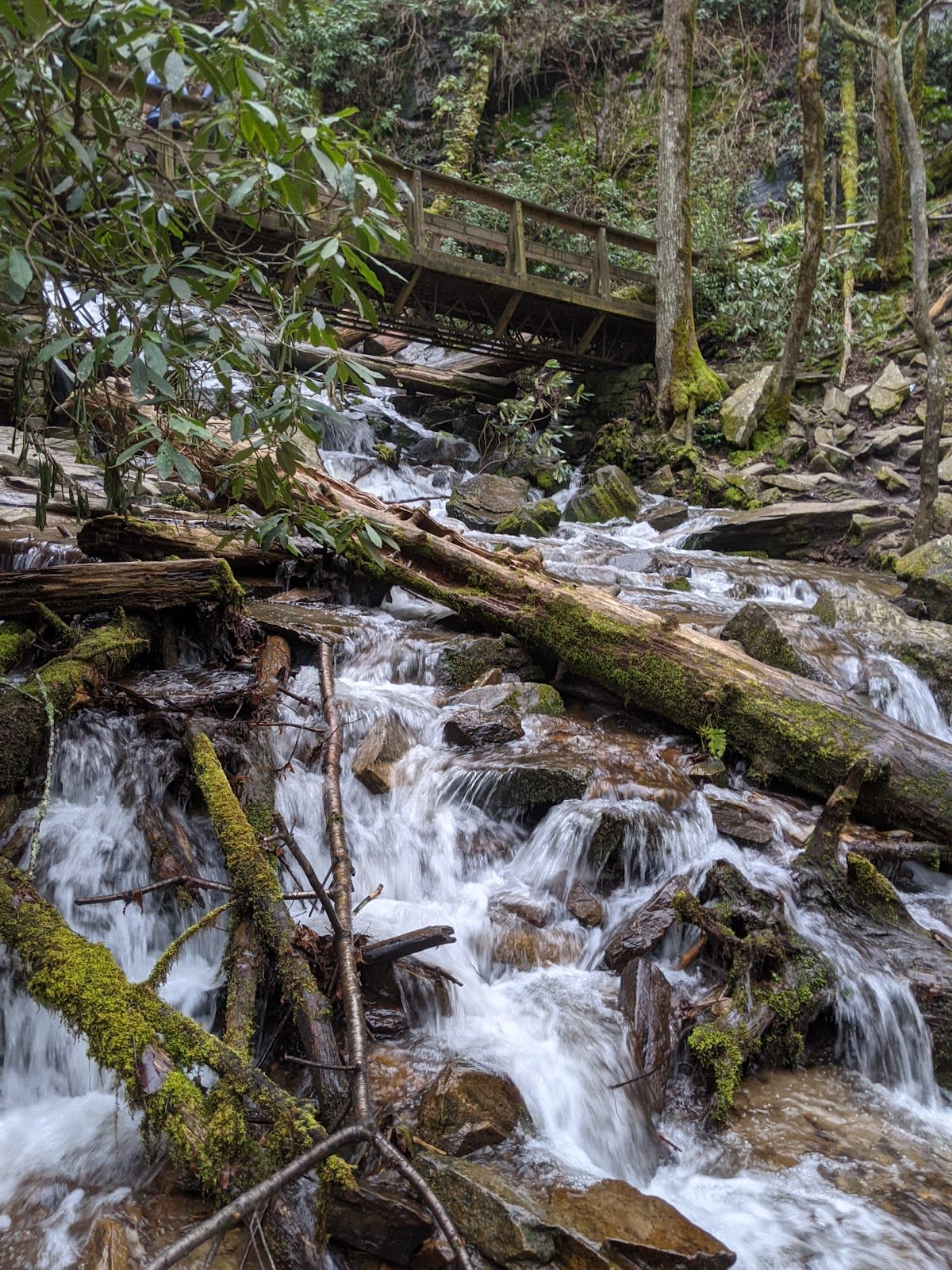 Mingo Falls - 120 Feet Tall!