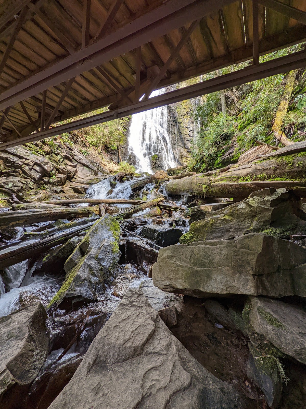 Mingo Falls - 120 Feet Tall!