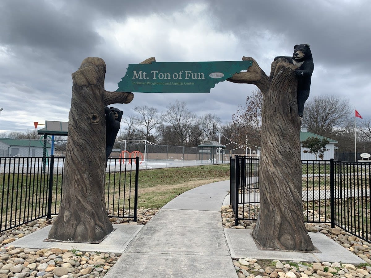 Mt. Ton of Fun Inclusive Playground