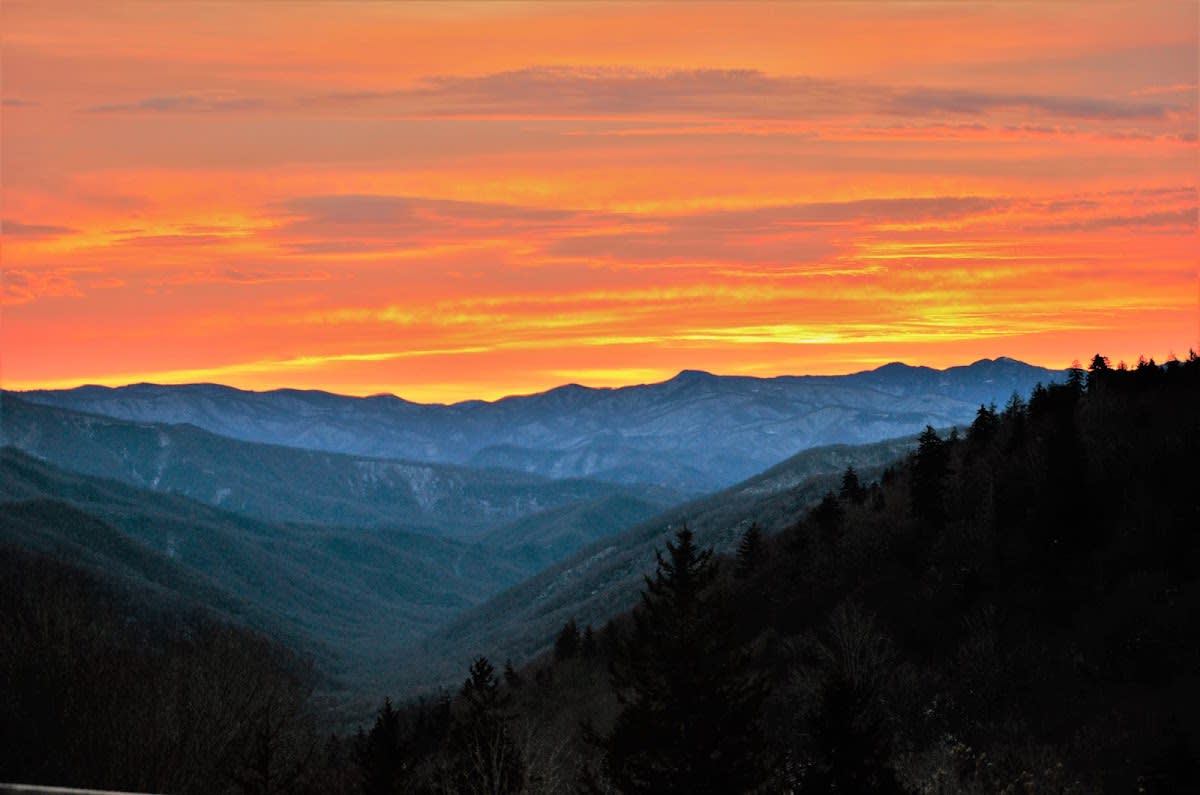 Newfound Gap Overlook