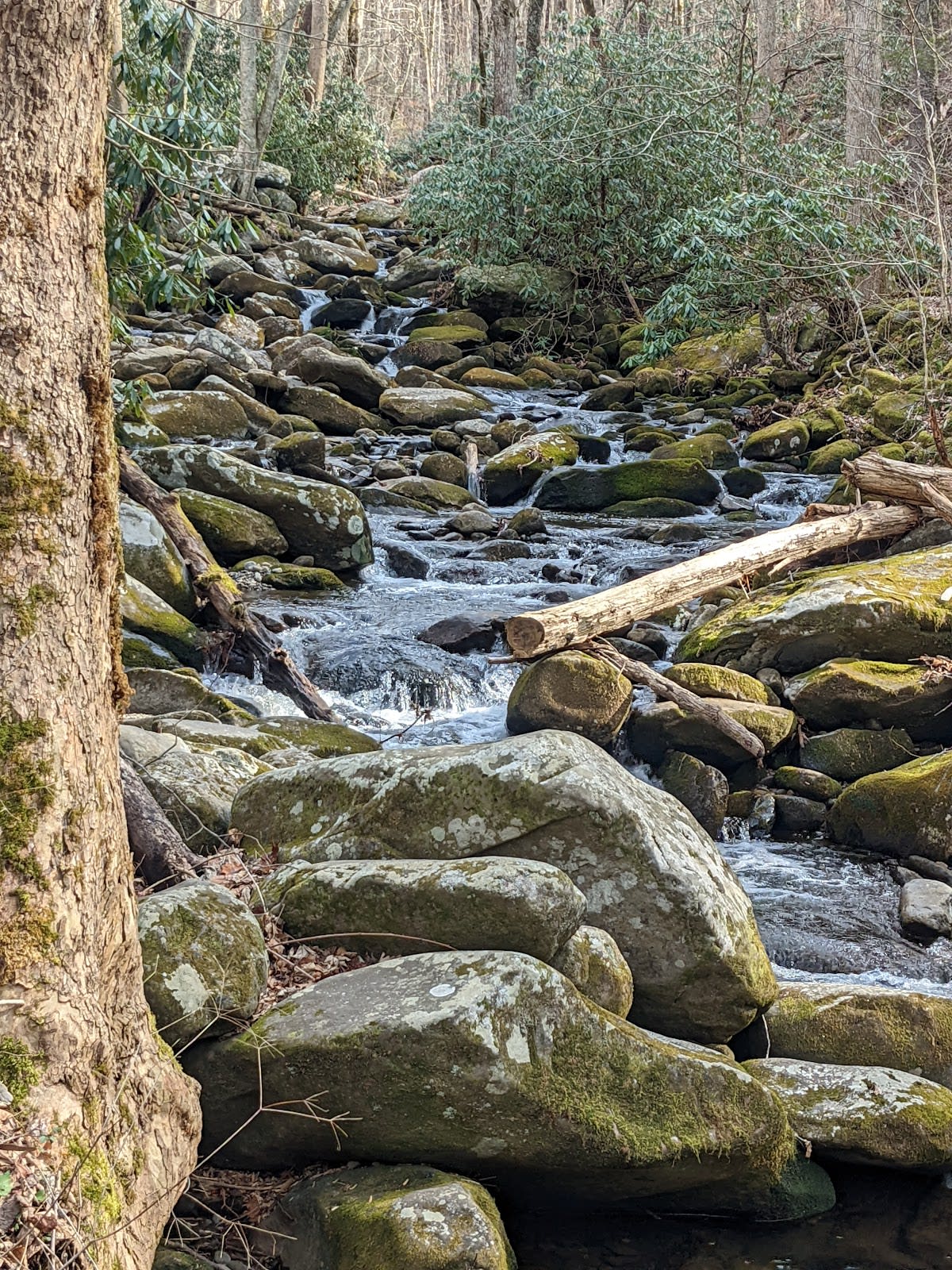 Noah "Bud" Ogle Cabin