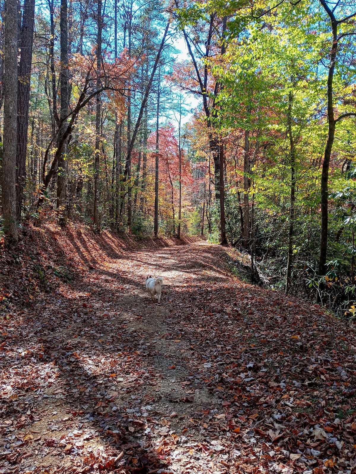 Noland Creek Trail - Most Haunted Trail