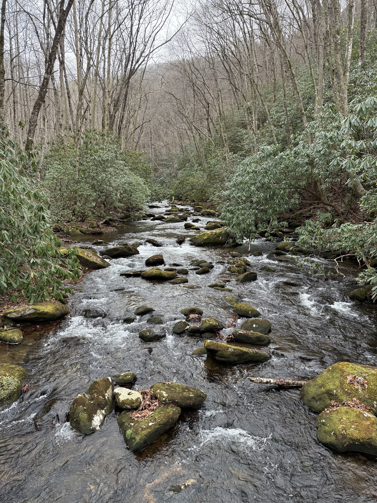 Noland Creek Trail - Most Haunted Trail
