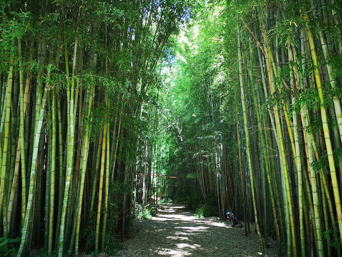Oconaluftee Island Park