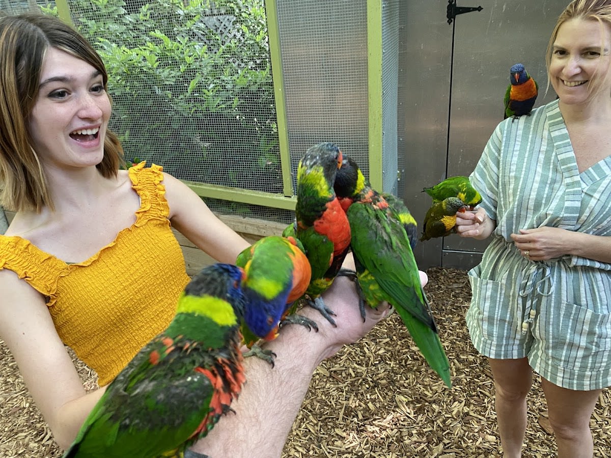 Parrot Mountain and Gardens