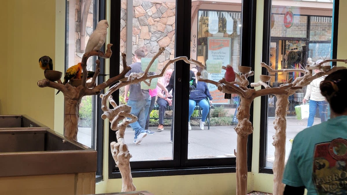 Parrot Mountain Pet Store