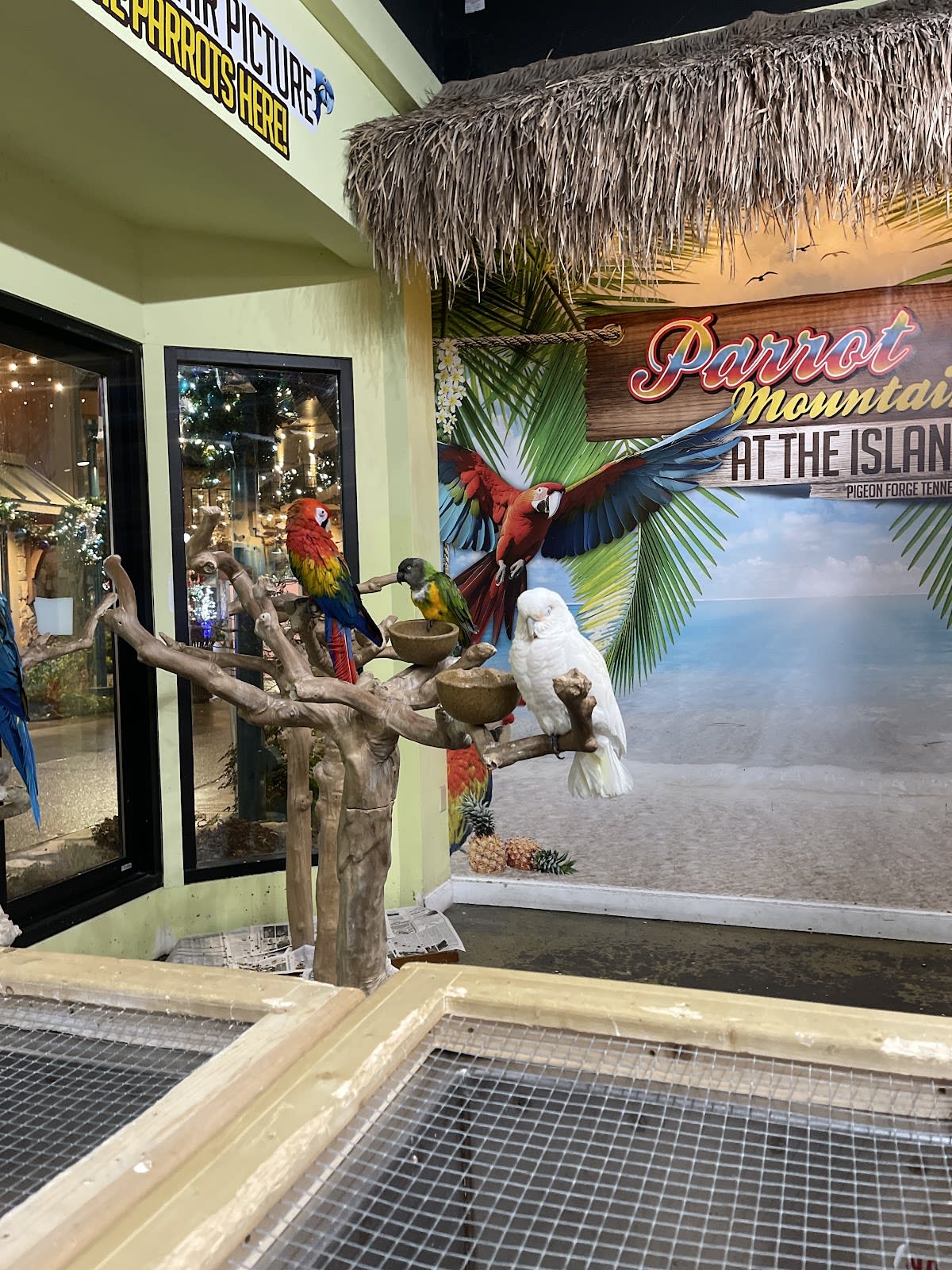 Parrot Mountain Pet Store