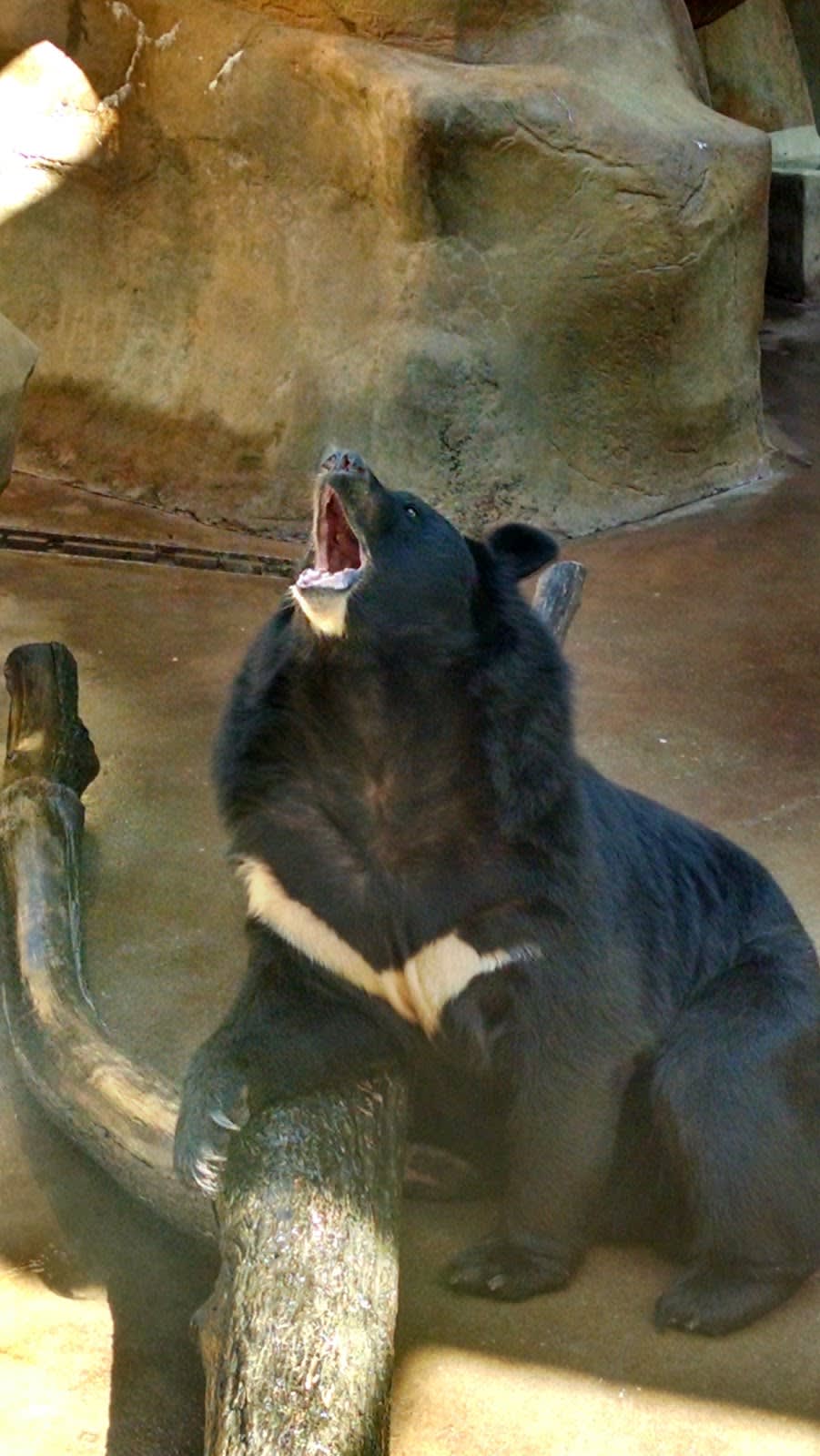 Pigeon Forge Gem Mine