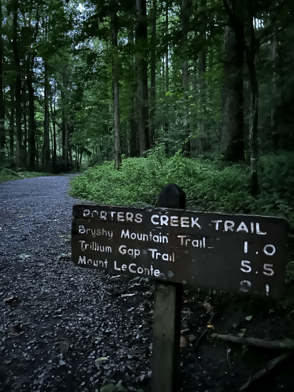 Porters Creek Trail