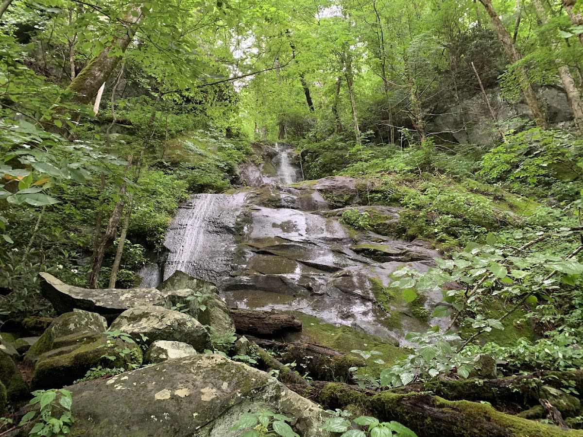 Porters Creek Trail