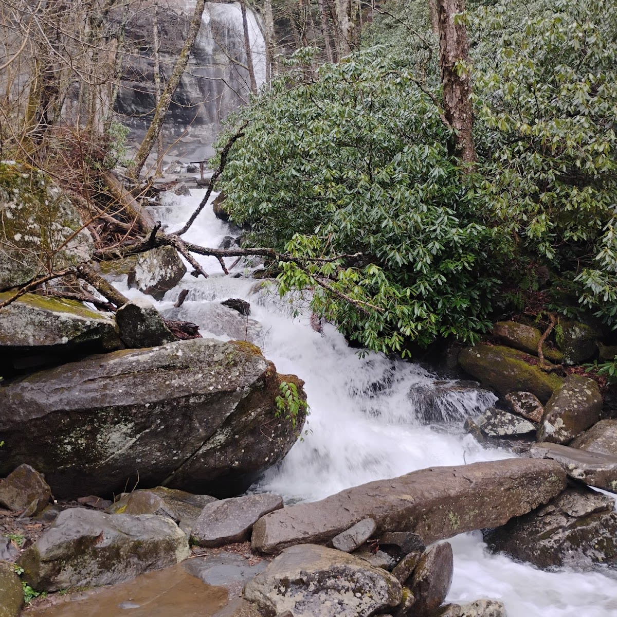 Rainbow Falls - 80 Feet with Rainbows!