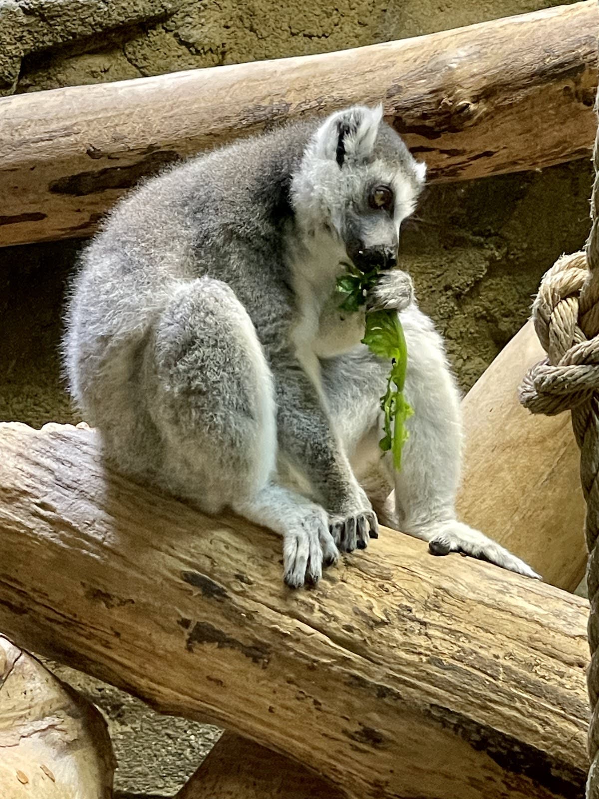 Rainforest Adventures Zoo