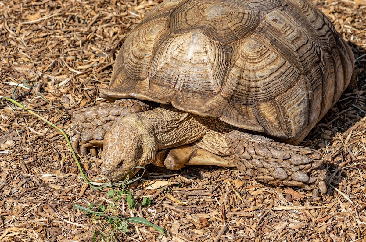 Rainforest Adventures Zoo