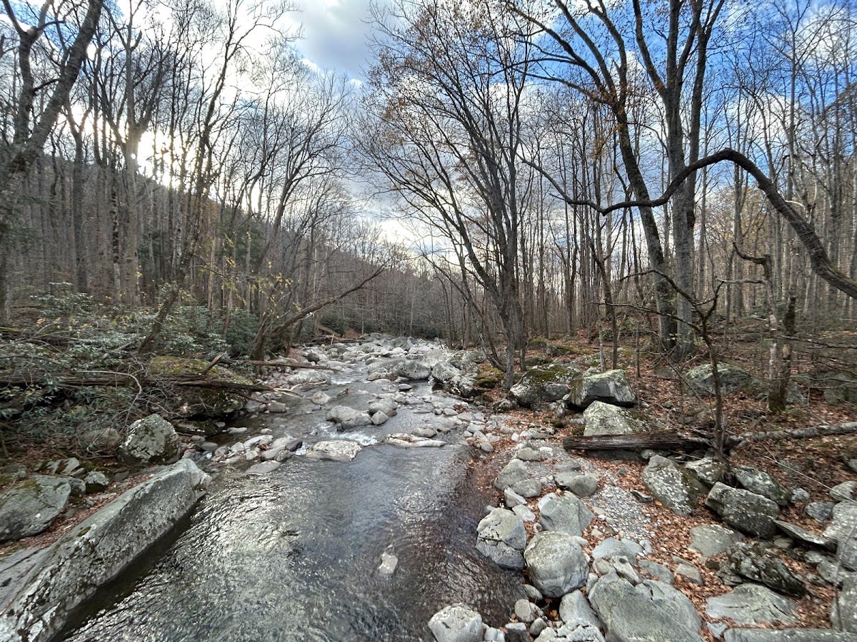A tall, stunning waterfall in a lush, green forest