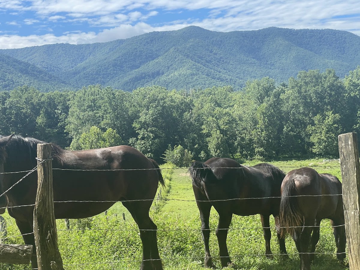 Rich Mountain Loop Trail