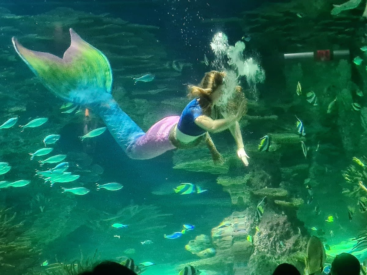 Ripley's Aquarium of the Smokies