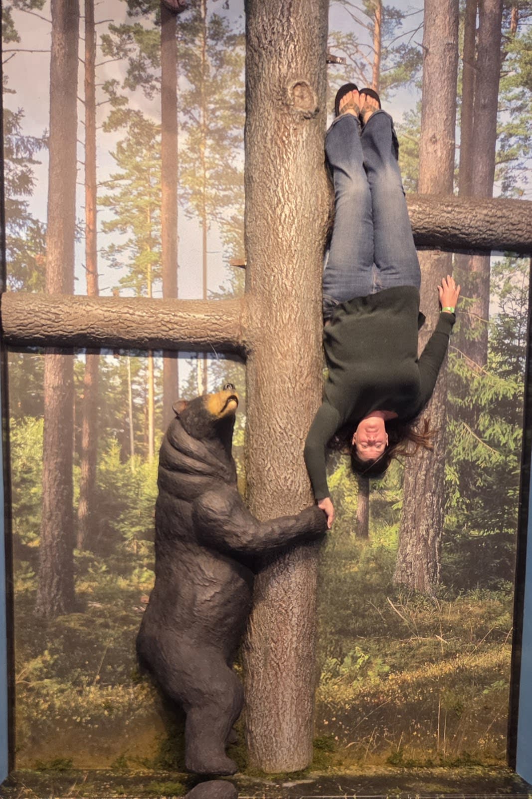 Ripley's Illusion Lab