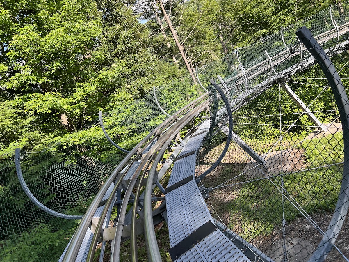 Ripley's Mountain Coaster