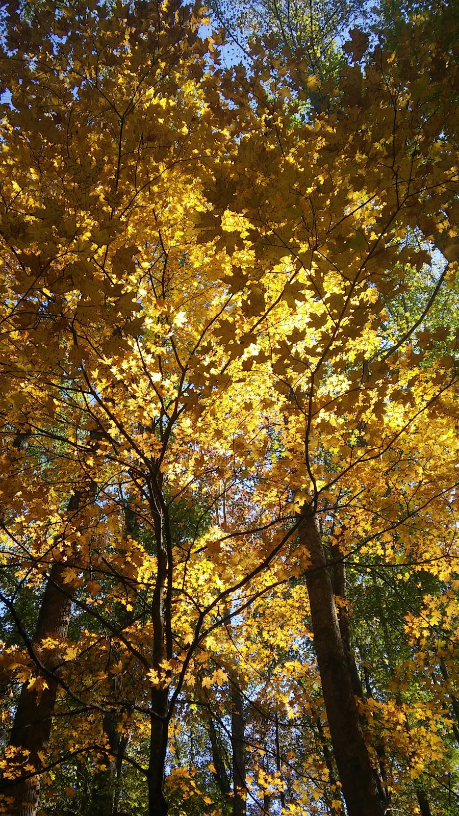 Riverview 2 Quiet Walkway