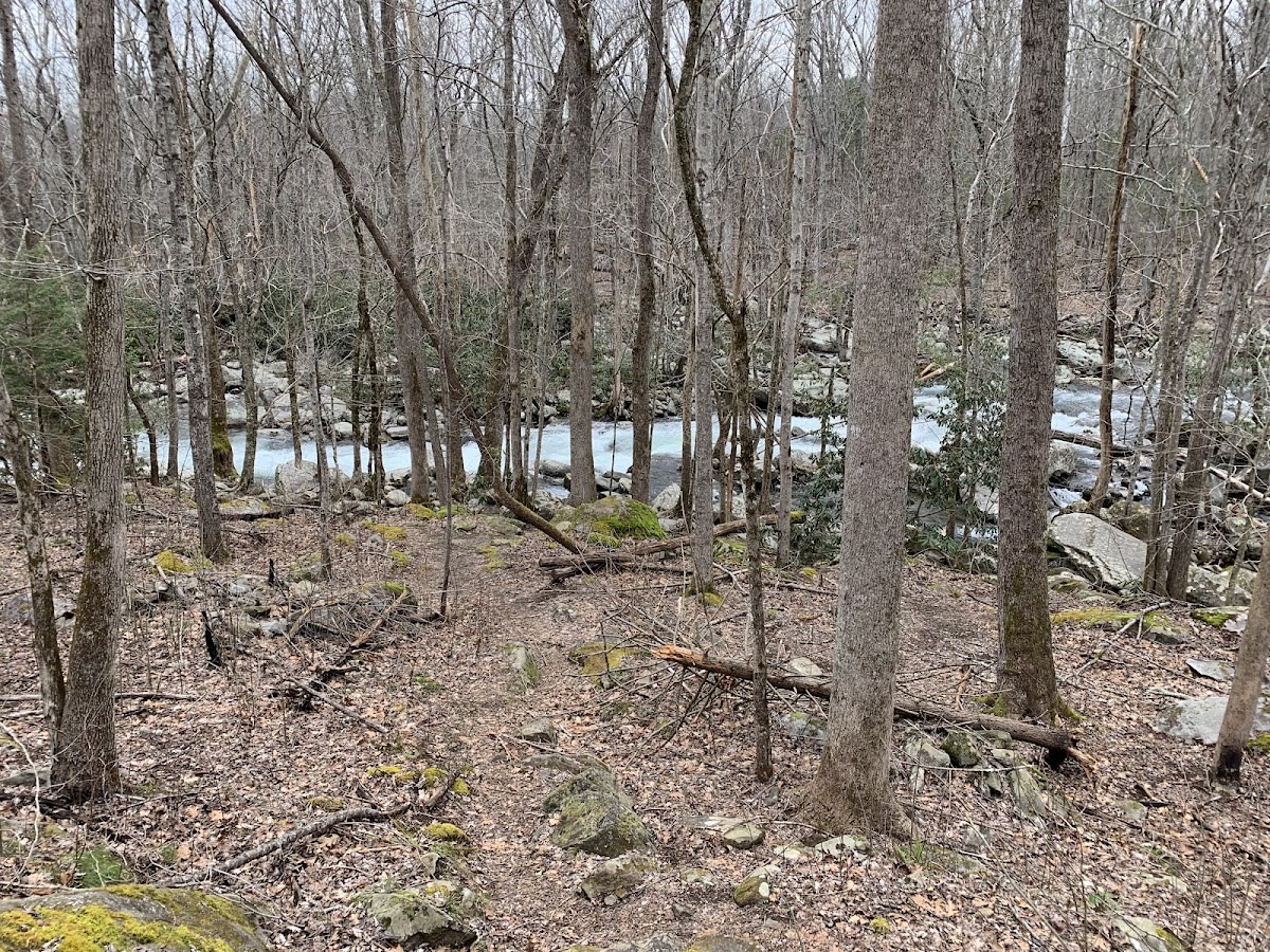 Riverview 2 Quiet Walkway