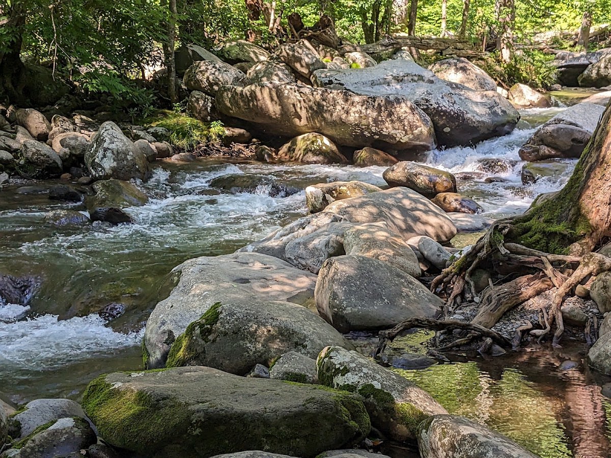 Riverview Quiet Walkway Trail