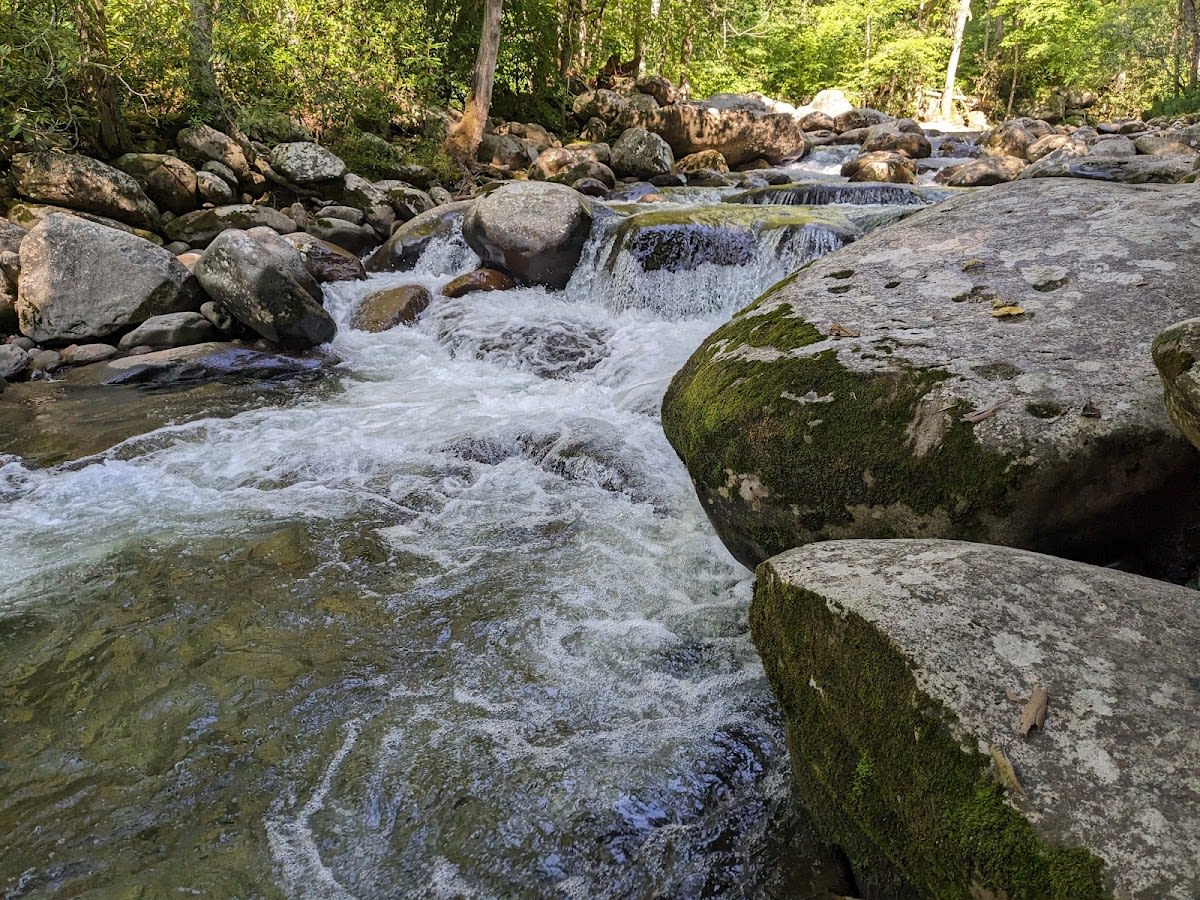 Riverview Quiet Walkway Trail
