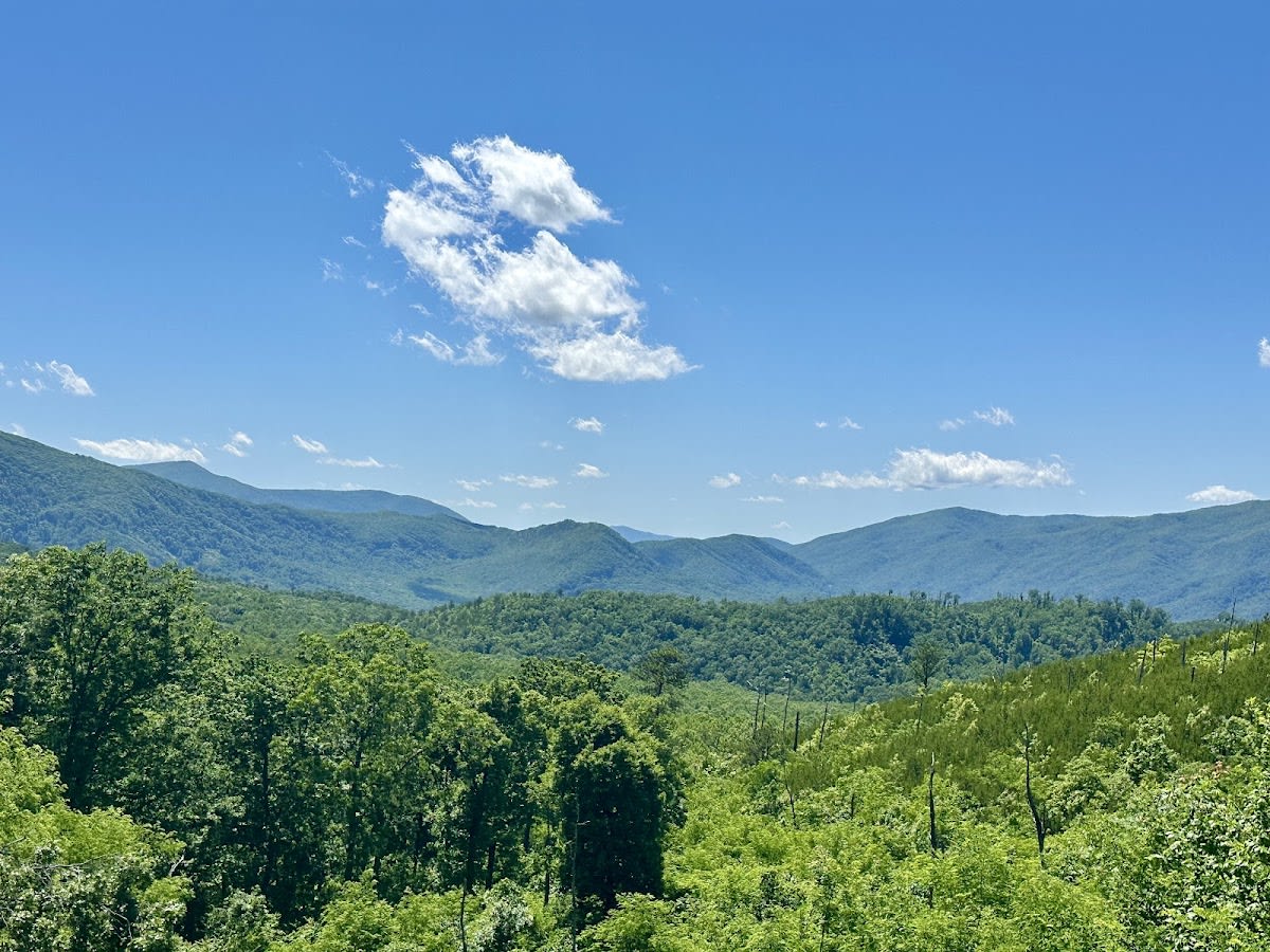 Roaring Fork Motor Nature Trail