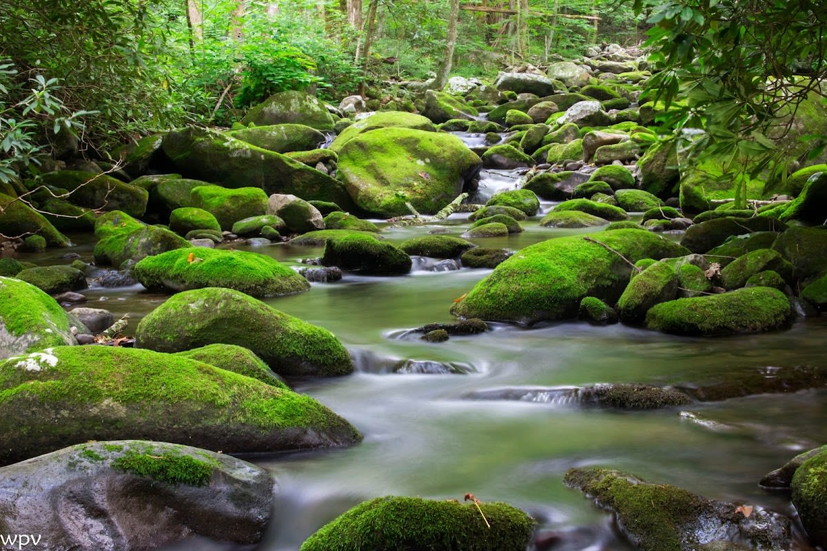 Roaring Fork Motor Nature Trail