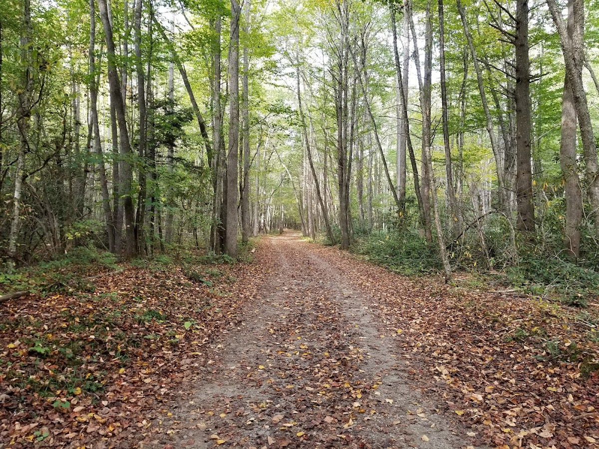 Rough Fork Trail