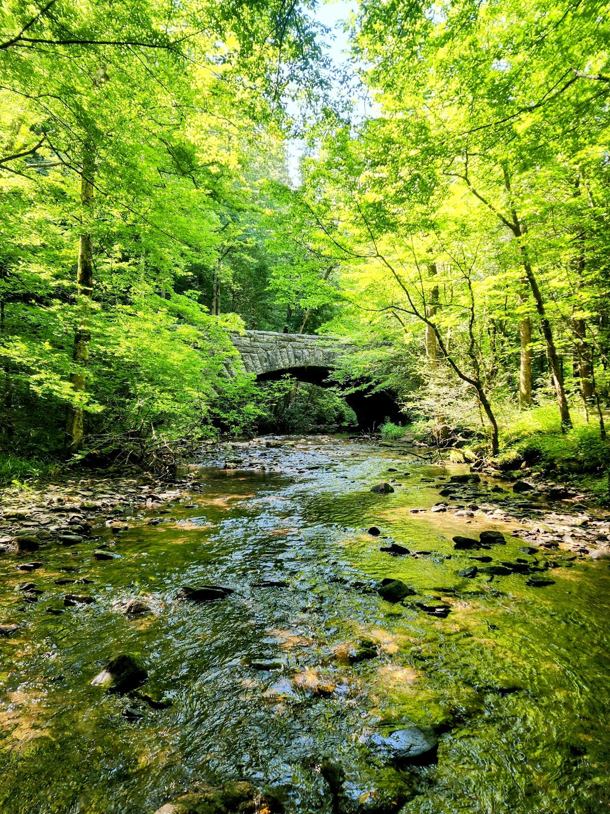 Schoolhouse Gap Trail