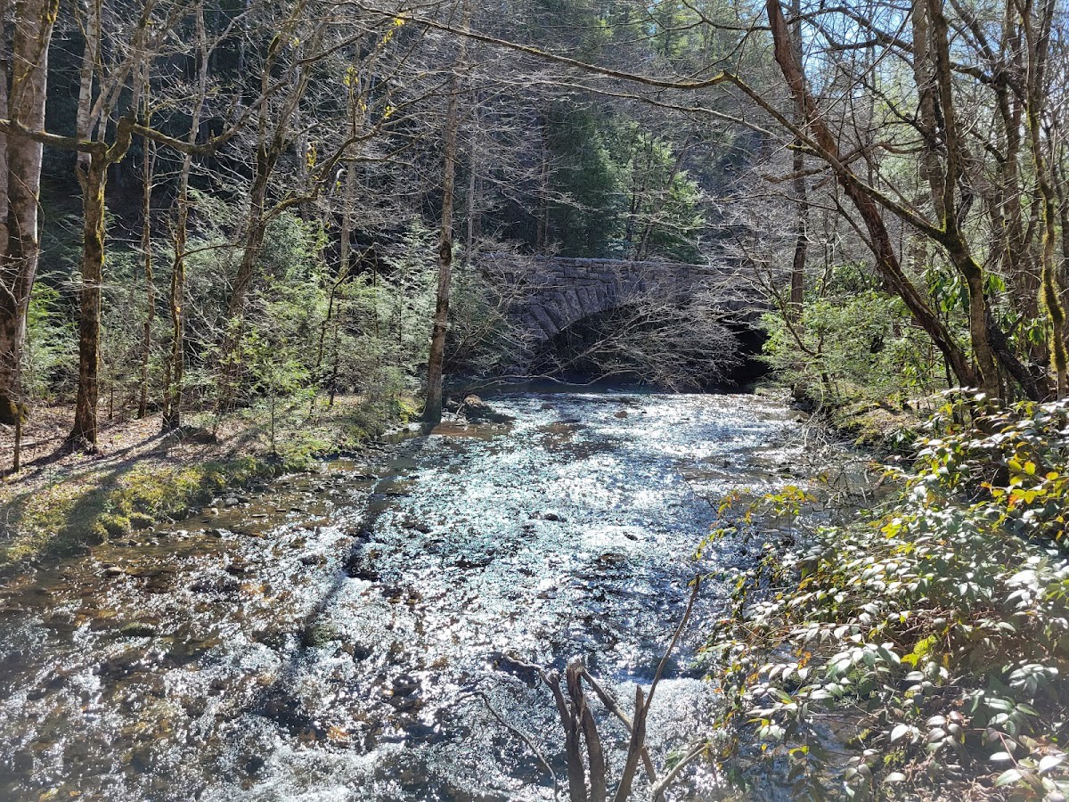Schoolhouse Gap Trail