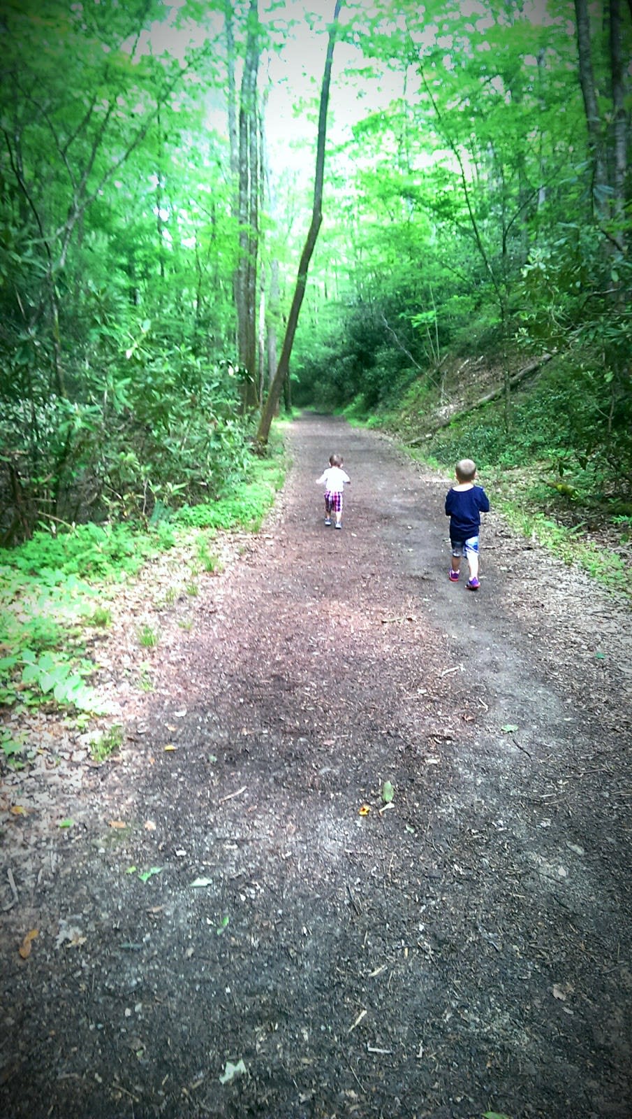 Schoolhouse Gap Trail