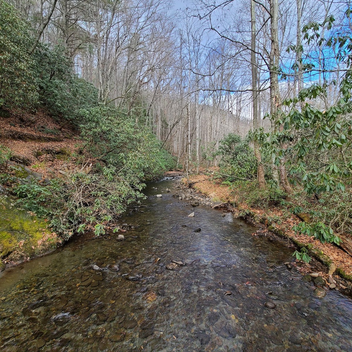 Smokemont Loop Trail