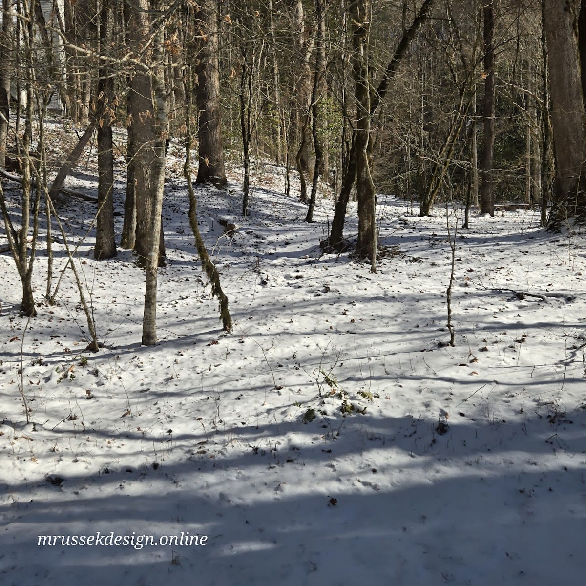 Smokemont Loop Trail