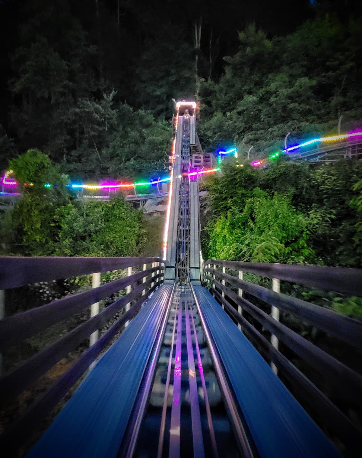 Smoky Mountain Alpine Coaster