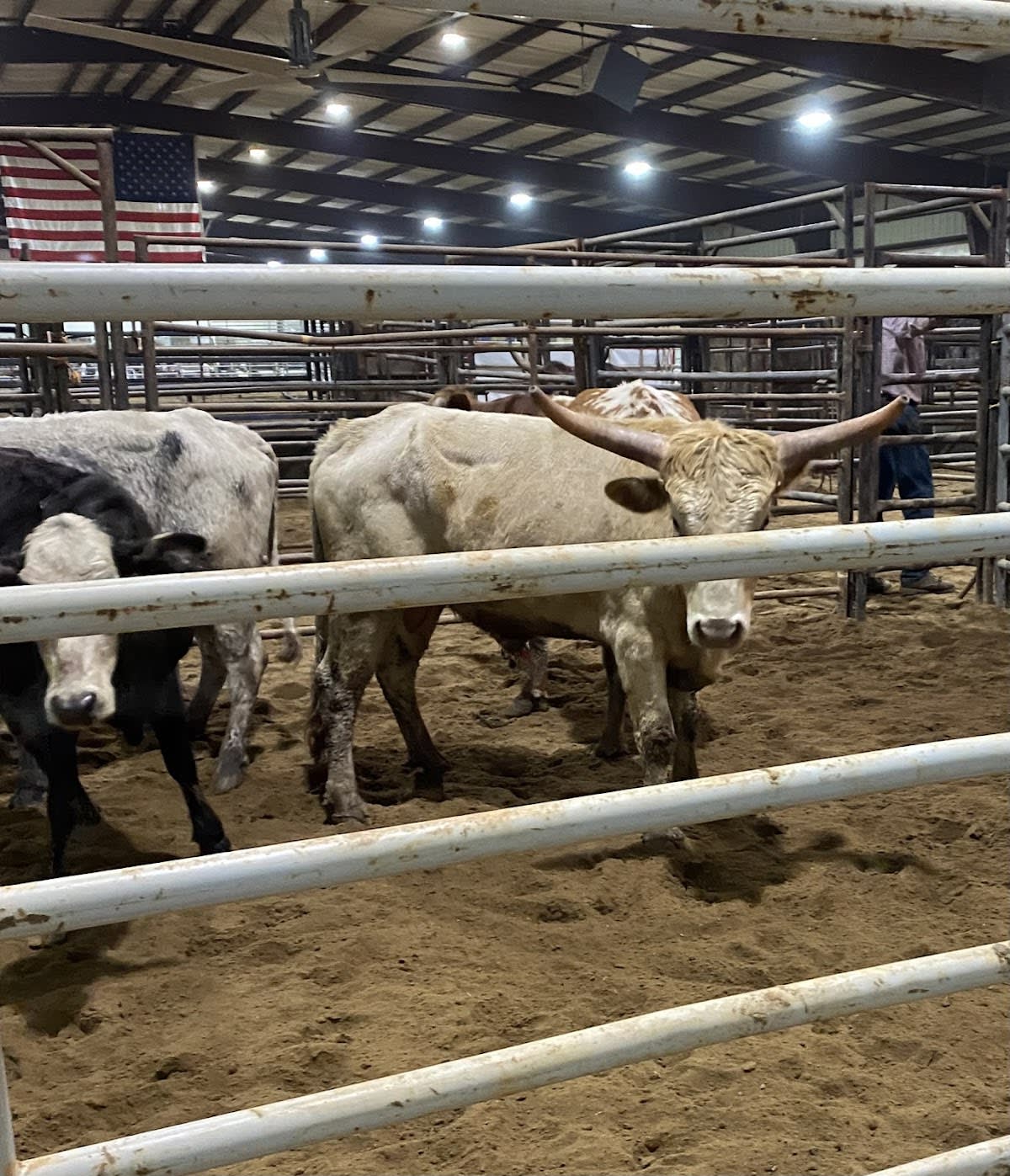 Smoky Mountain Arena