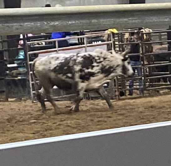 Smoky Mountain Arena