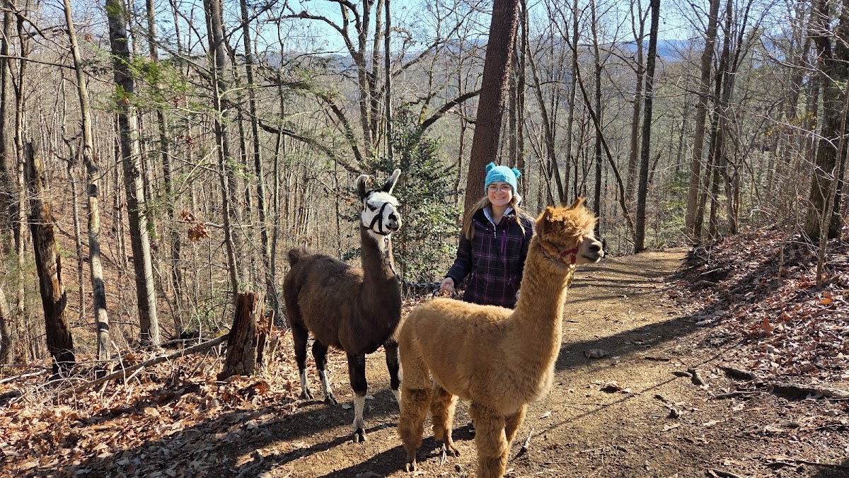 Smoky Mountain Llama Treks