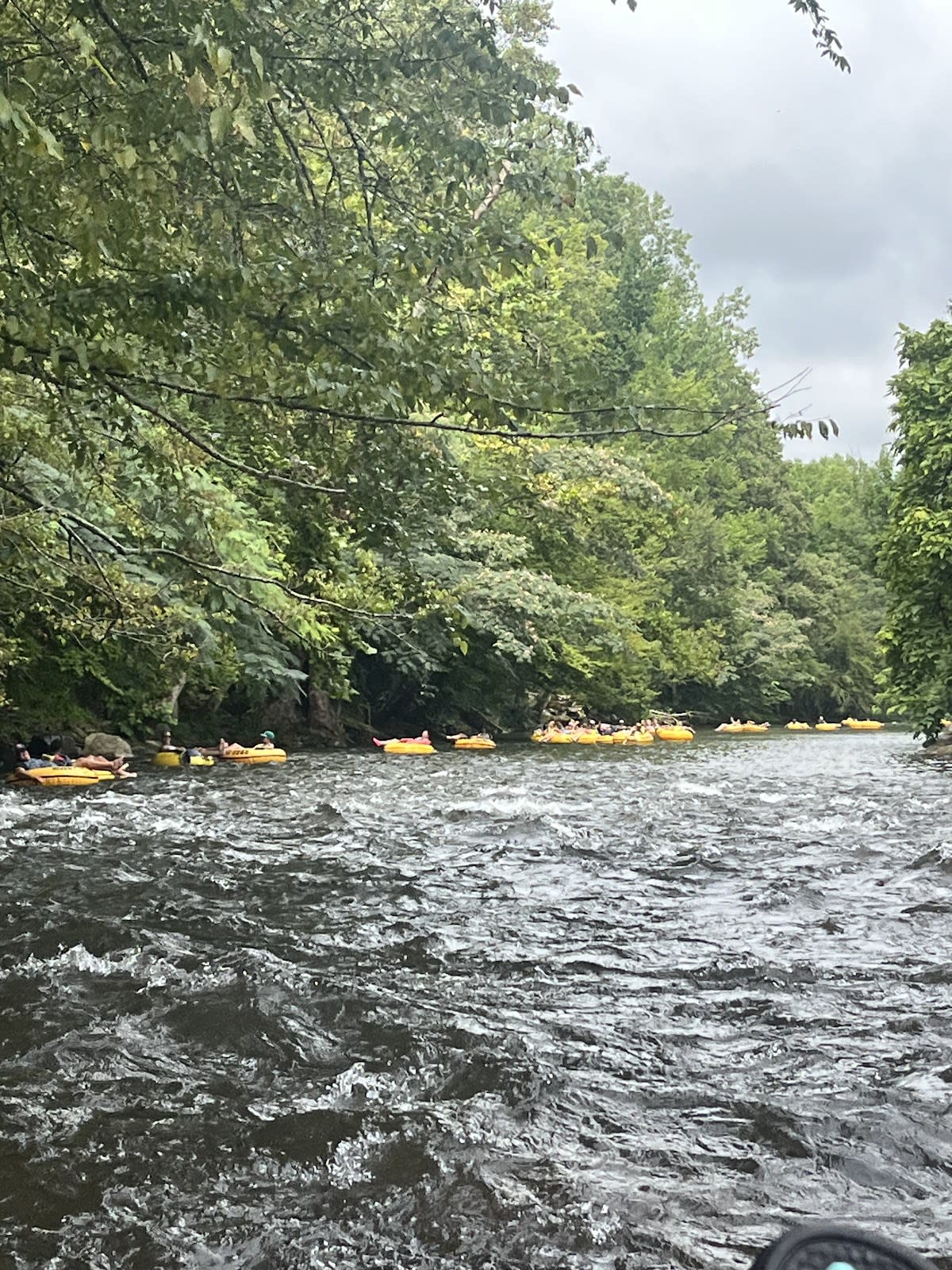Smoky Mountain River Rat Tubing