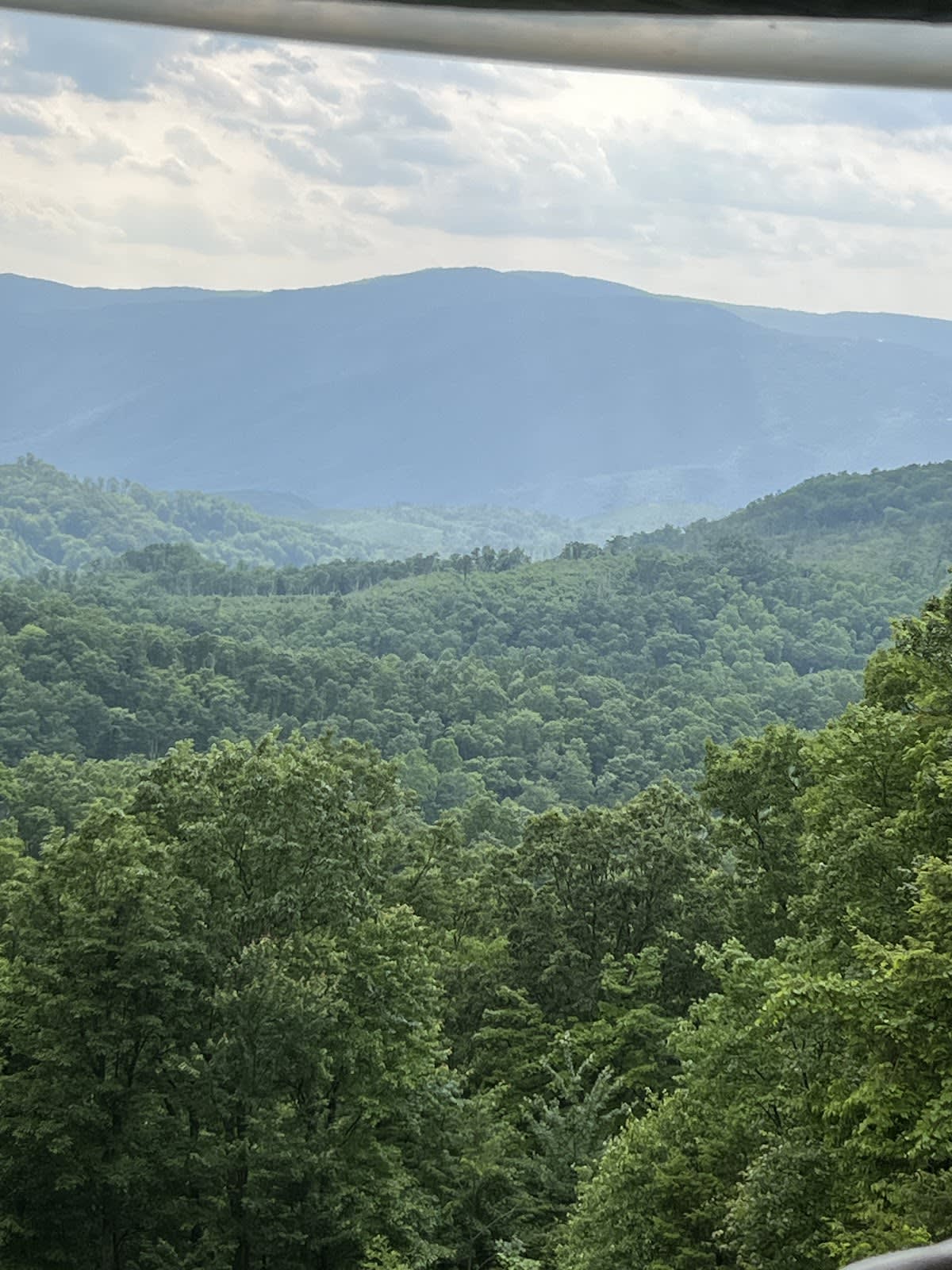 Smoky Mountains Pink Jeep Tours