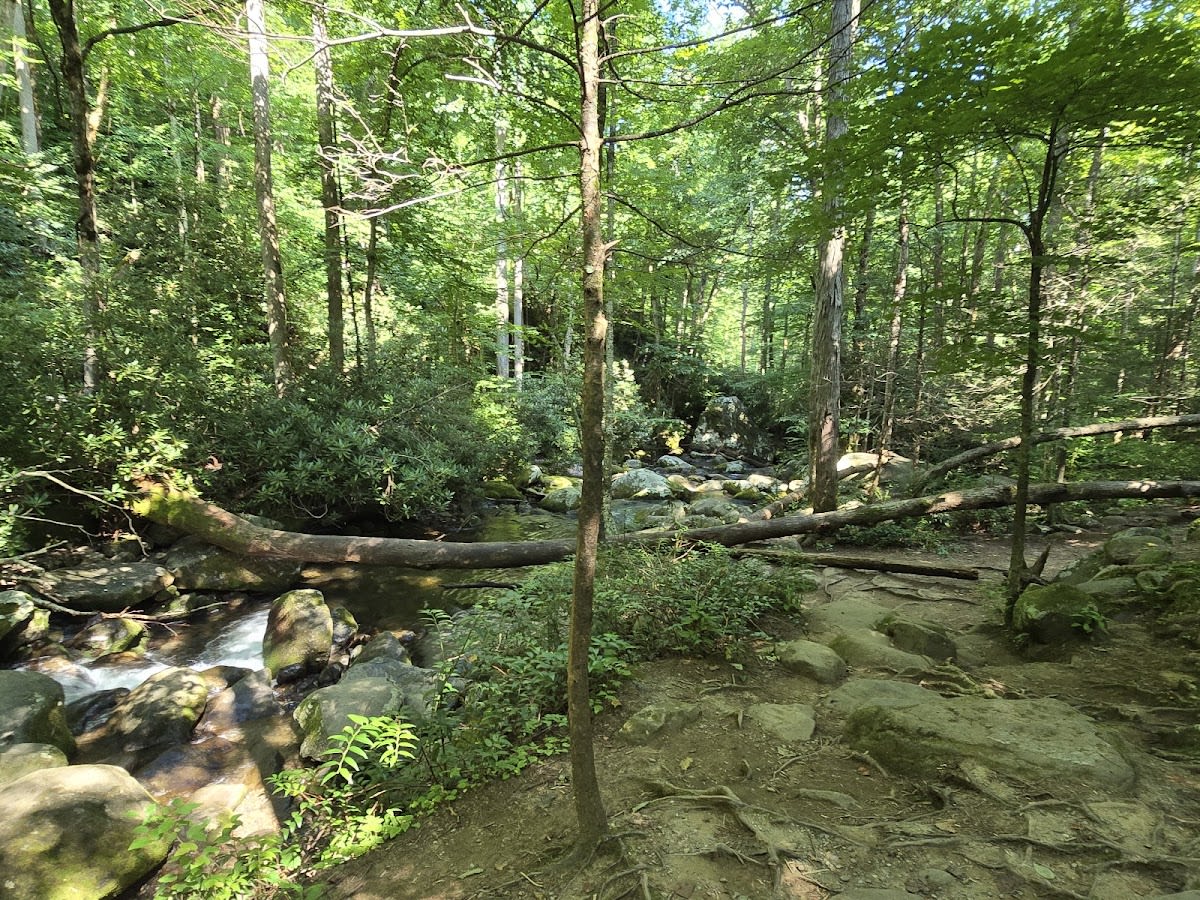 Smoky Mountains Pink Jeep Tours