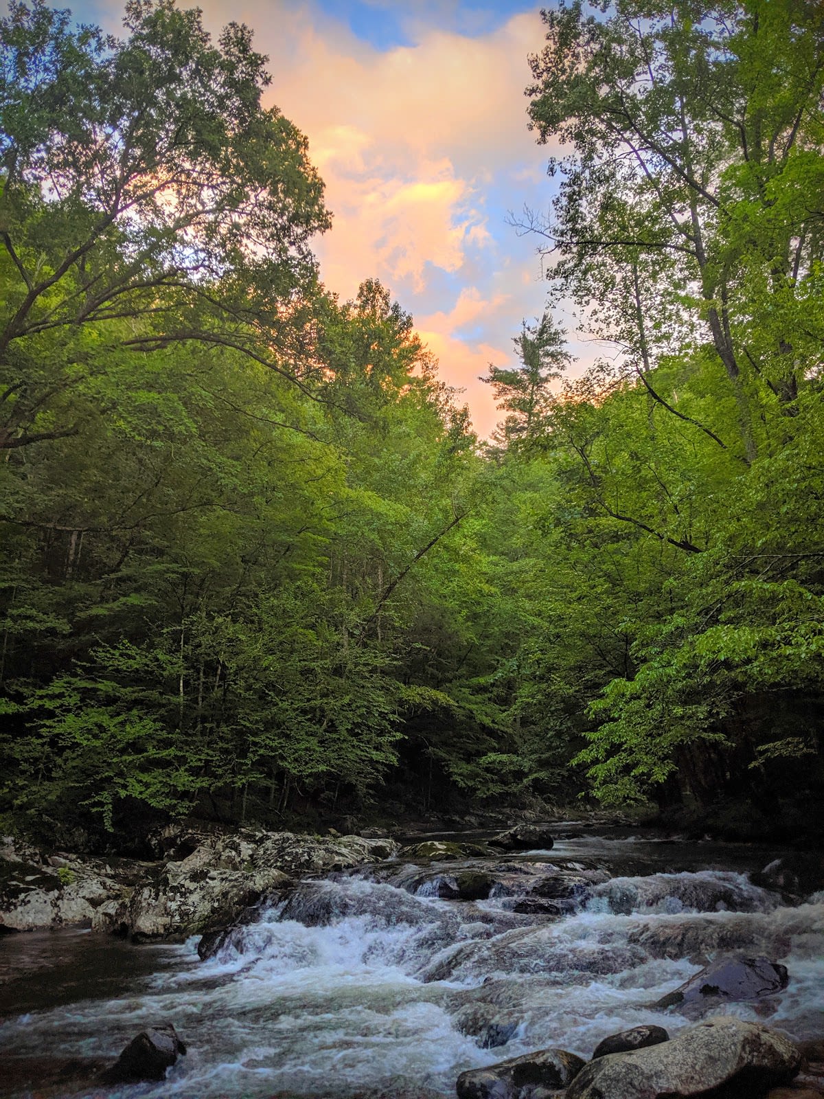 Spruce Flats Falls - Swimming Hole!