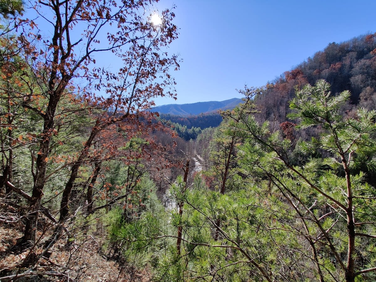 Spruce Flats Falls - Swimming Hole!