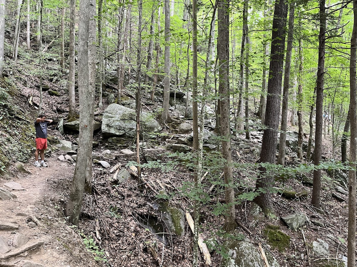 Spruce Flats Falls Trail