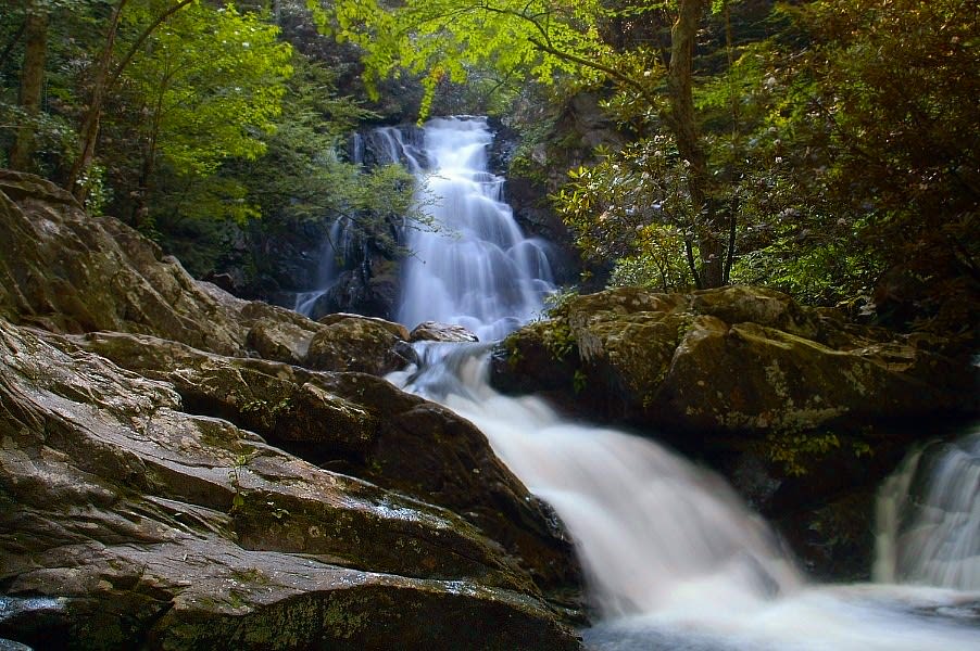 Spruce Flats Falls Trail