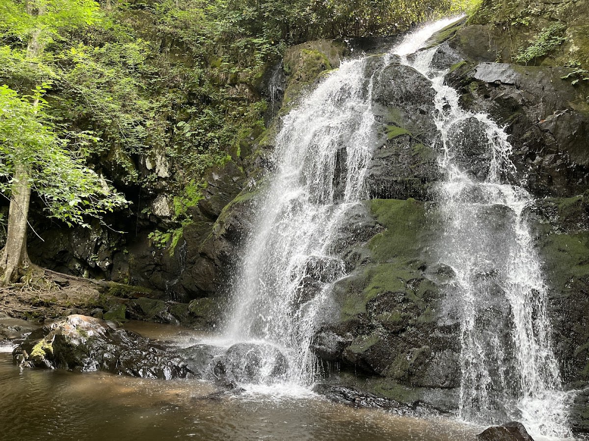 Spruce Flats Falls Trail