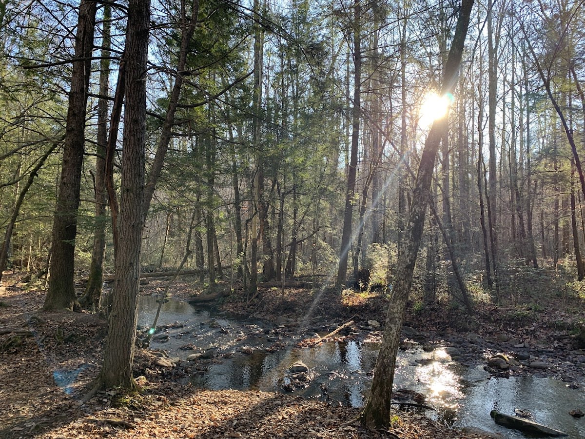 Sugarland Valley Nature Trail