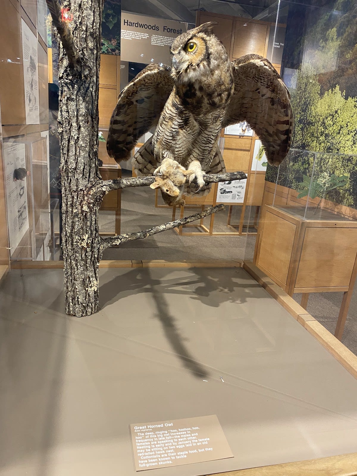 Sugarlands Visitor Center