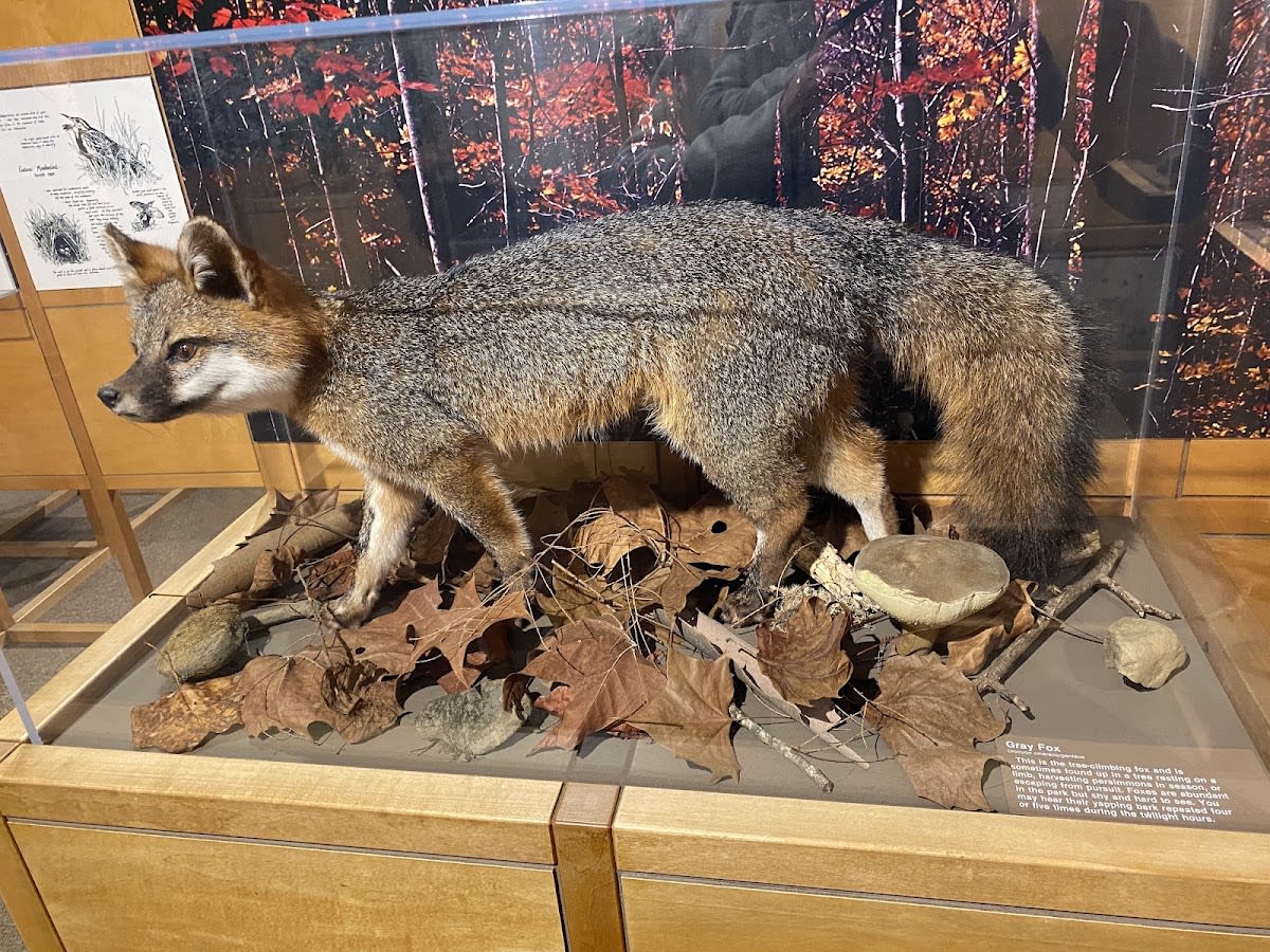 Sugarlands Visitor Center