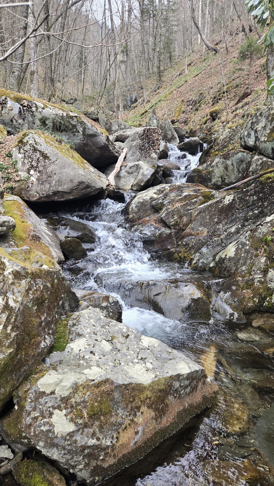 Sweat Heifer Creek Trail